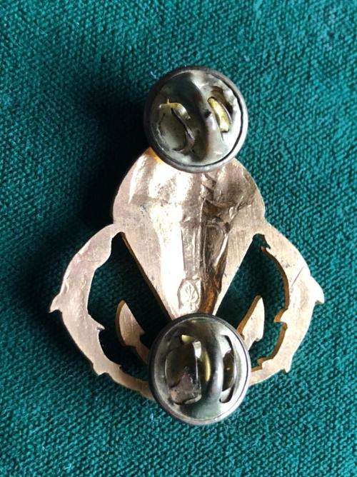 PERU SPECIAL FORCES PARA WING- 2 PINS