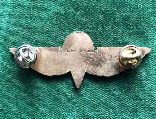 SAS PARA BADGE- 2 PINS