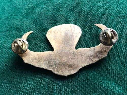 PERU SPECIAL FORCES FREE FALL PARA WING- 2 PINS