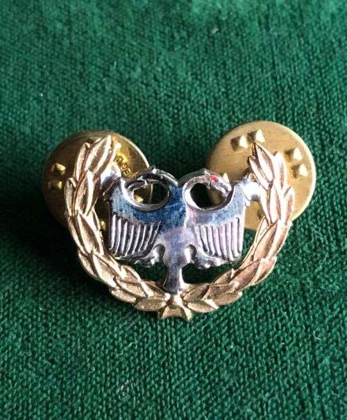 SAAF PROTECTION, BI METAL BREAST BADGE- APPROVED IN 1996-MESS DRESS- 2 PINS