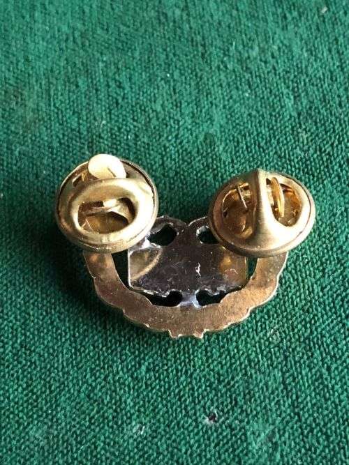 SAAF PROTECTION, BI METAL BREAST BADGE- APPROVED IN 1996-MESS DRESS- 2 PINS