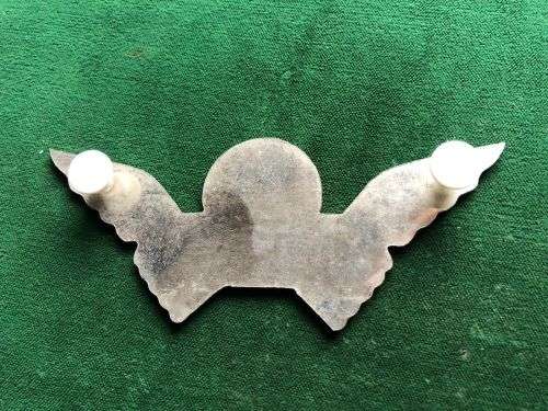 RHODESIA SELOUS SCOUTS WING FOR PLAQUE-MEASURES 108 MM- 2 PINS