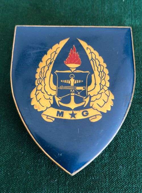 ARMY GYMNASIUM GOLD TYPE FLASH- 3 PINS