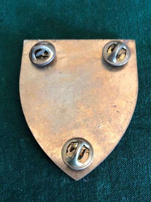 ARMY GYMNASIUM GOLD TYPE FLASH- 3 PINS