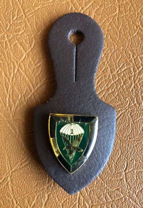 1 PARA BATTALION AFFILIATION,POCKET BADGE 1ST PATTERN- 2 PINS