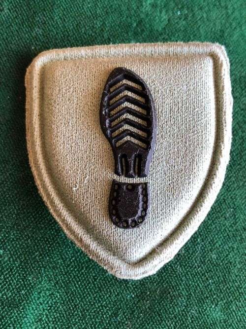 SANDF TRACKERS QUALIFICATION BADGE- EMBOSSED- 2 PINS