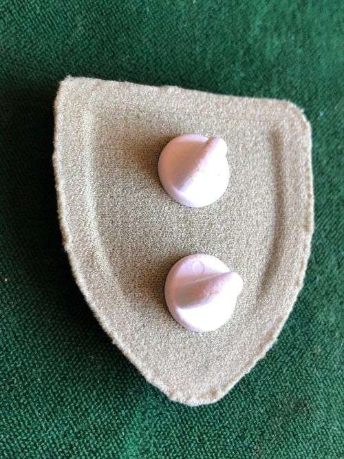 SANDF TRACKERS QUALIFICATION BADGE- EMBOSSED- 2 PINS