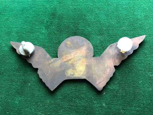 RHODESIA SELOUS SCOUTS WING FOR PLAQUE-MEASURES 108 MM- 2 PINS