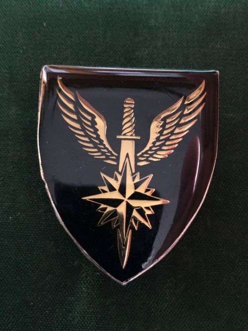 1 SWA RECCE REGT, POCKET FLASH- 3 PINS