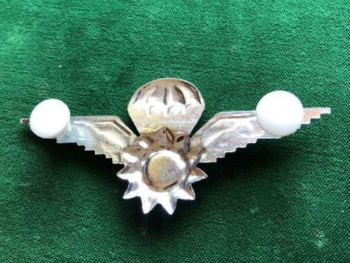 SWA POLICE TASK FORCE ,CHROMED AND ENAMEL PARACHUTE WING-FULL SIZE- 2 PINS