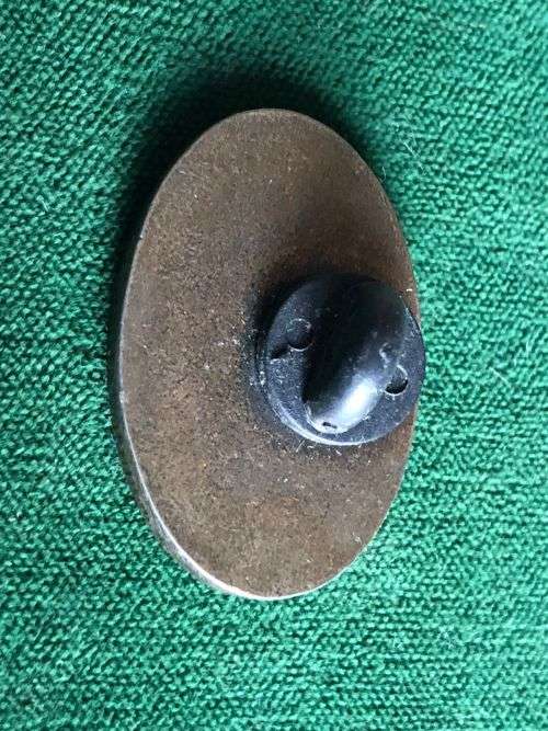 ANTI POUCHING INTELLIGENCE GROUP-SOUTHERN AFRICA- BADGE