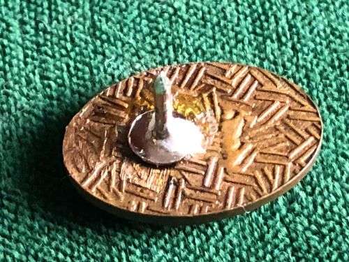 1 PARACHUTE BATTALION BLAZER LAPEL BADGE- ONE PIN