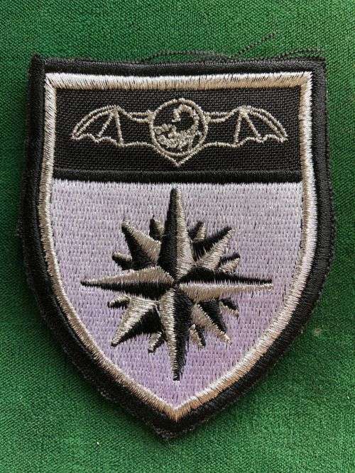 REPLICA 2 RECCE REGIMENT TRACK SUIT BADGE