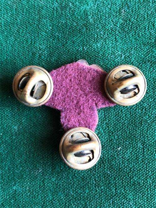 SA MEDICAL SERVICES, BI METAL ,DOCTORS BREAST BADGE- 3 PINS