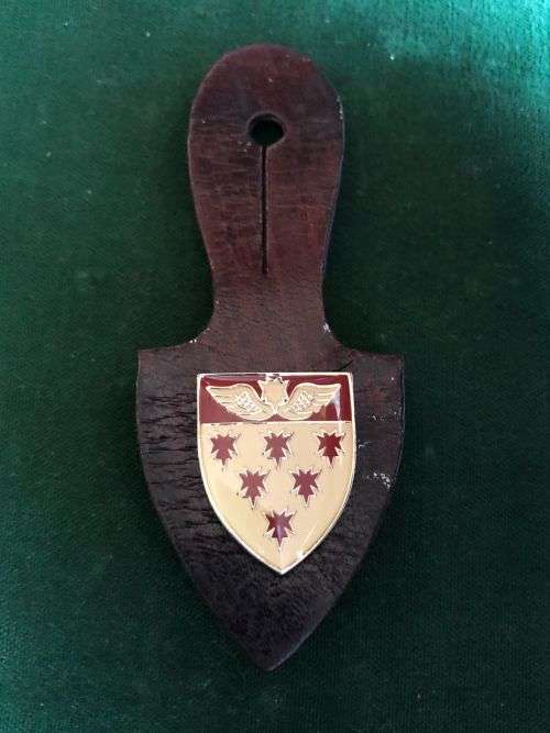 7 MEDICAL GROUP BATTALION (OPS MEDIC) FOB -POCKET BADGE- 3 PINS