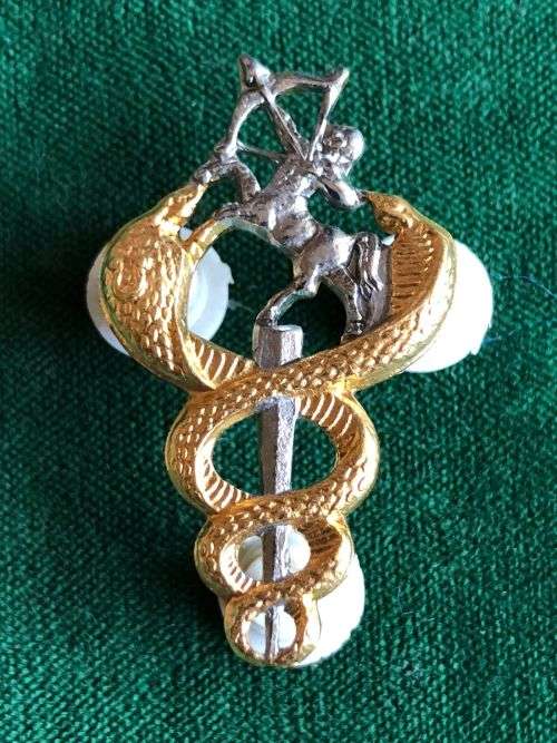 SA MEDICAL SERVICES,BI METAL VETERINARY SURGEONS BREAST BADGE-APPROVED IN 1975- 3 PINS