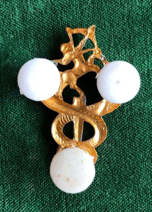 SA MEDICAL SERVICES,BI METAL VETERINARY SURGEONS BREAST BADGE-APPROVED IN 1975- 3 PINS