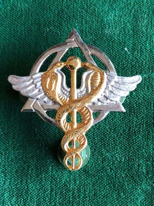SA MEDICAL SERVICES,BI METAL BREAST BADGE FOR DENTIST`S-APPROVED IN 1992-VARIATION WITH STAFF IN BET