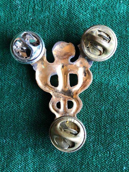 SA MEDICAL SERVICES,BI METAL HEALTH OFFICERS BREAST BADGE-APPROVED IN 1991- 3 PINS