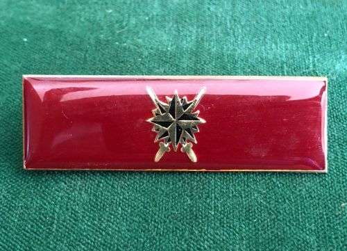 FIRST PATTERN (BROADER VARIATION) SPECIAL FORCES FORMATION BAR- 2 PINS