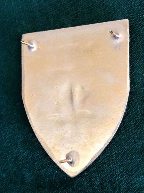 SPECIAL FORCES SCHOOL FLASH- 3 PINS