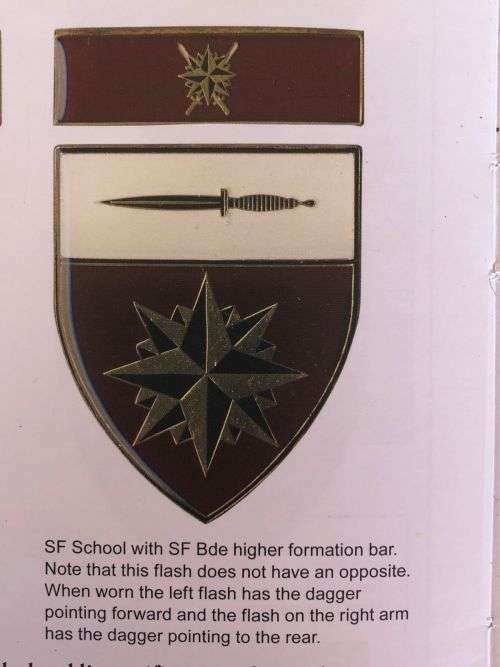 SPECIAL FORCES SCHOOL FLASH- 3 PINS