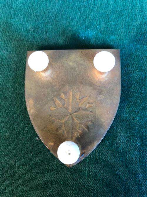 453 PARA REGT. FLASH- COLLECTORS COPY- 3 PINS