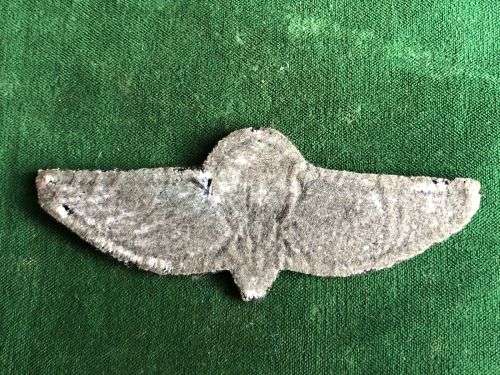 HUNTERS GROUP PARA WING-BLUE WING WITH WHITE CHUTE FOR WORK CLOTHES