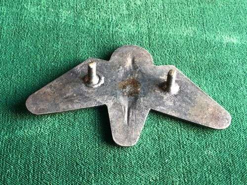 BOPHUTHATSWANA DEFENCE FORCE-TASK FORCE(SPECIAL FORCES) LUCITE COVERED,CAP BADGE-2X SCREW LUGS