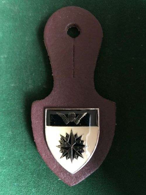 5 RECCE REGIMENT AFFILIATION POCKET BADGE- 2 PINS