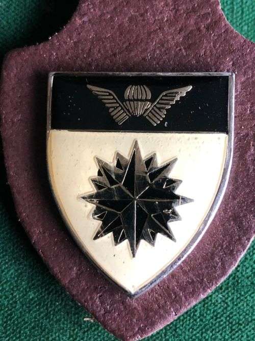 5 RECCE REGIMENT AFFILIATION POCKET BADGE- 2 PINS
