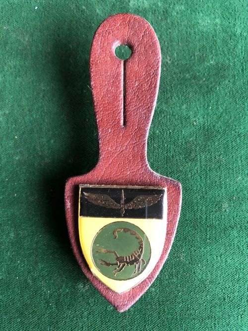 2 RECCE REGIMENT AFFILIATION POCKET BADGE- 3 PINS- 1ST TYPE