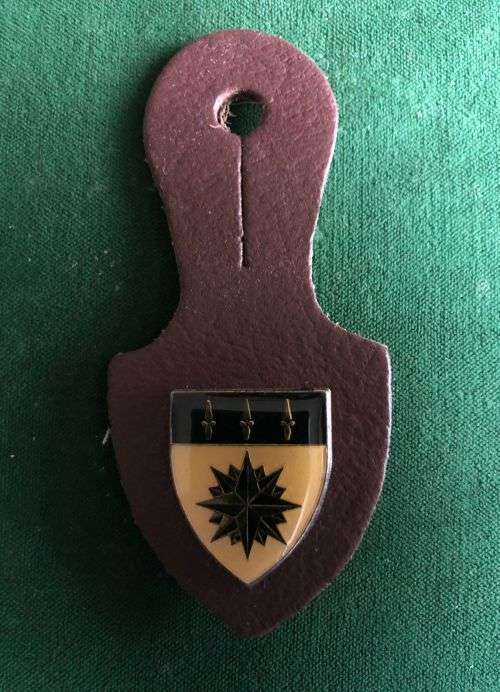 1 RECCE REGIMENT AFFILIATION POCKET BADGE- 2 PINS