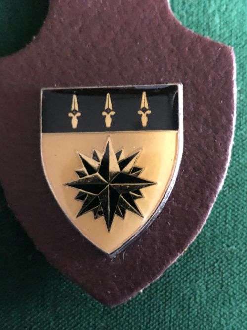 1 RECCE REGIMENT AFFILIATION POCKET BADGE- 2 PINS