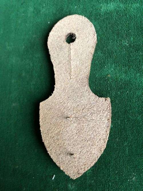 1 RECCE REGIMENT AFFILIATION POCKET BADGE- 2 PINS