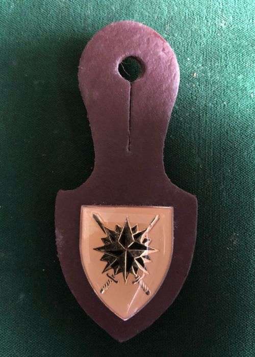 SPECIAL FORCES HQ AFFILIATION POCKET BADGE- 2 PINS