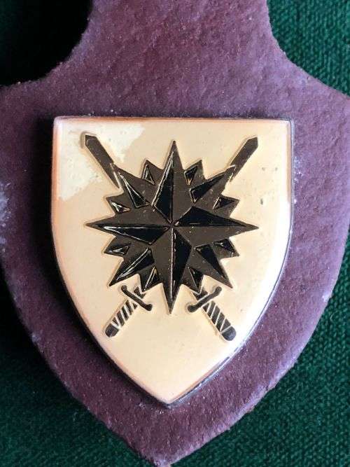 SPECIAL FORCES HQ AFFILIATION POCKET BADGE- 2 PINS