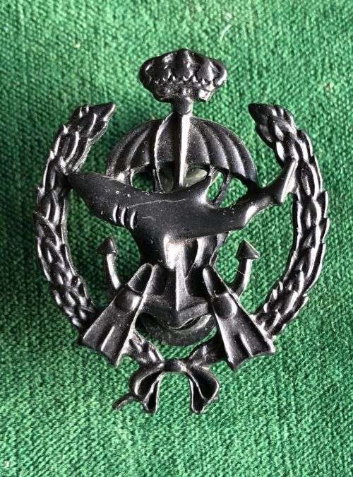 UNIDENTIFIED PARA WING- 2 PINS