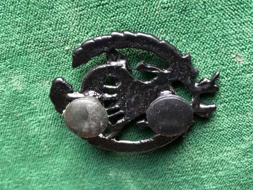 UNIDENTIFIED PARA WING- 2 PINS