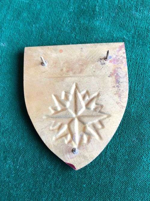 44 PARA BRIGADE STORES-PROPOSED FLASH- 1993- NOT ADAPTED- 3 PINS