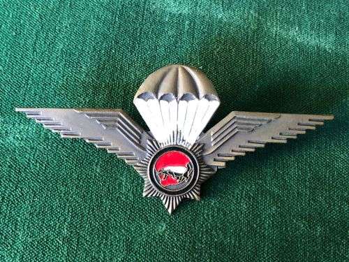 SA POLICE VLAKPLAAS PARACHUTE WINGS GILT WINGS WITH ENAMEL CENTRE (VARIATION)- 2 PINS