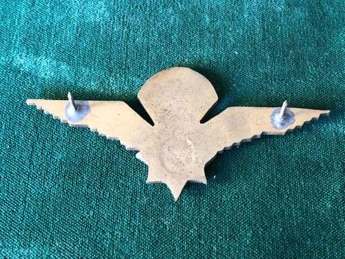 SA POLICE VLAKPLAAS PARACHUTE WINGS- GILT WINGS WITH ENAMEL CENTRE- 2 PINS