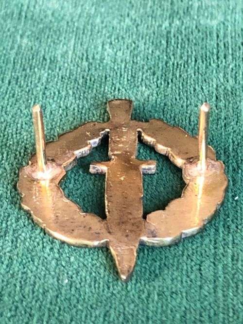 RECCE-PROPOSED GOLD MESS DRESS OPERATOR QUALIFICATION BREAST BADGE- 2 PINS