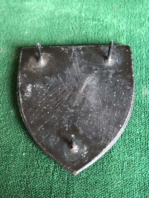 1 SWA SPECIALIST UNIT POCKET FLASH (FORMALLY 1 SWA PARACHUTE BATTALION) 3 PINS