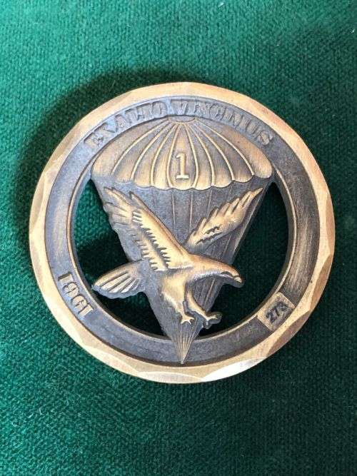 1 PARA BATTALION CHALLENGE COIN NUMBERED 273-DIAMETER 36 MM
