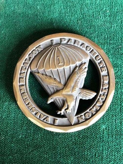 1 PARA BATTALION CHALLENGE COIN NUMBERED 273-DIAMETER 36 MM