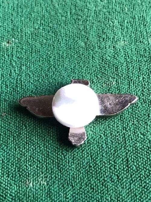 1 PARA BATTALION BLAZER PIN