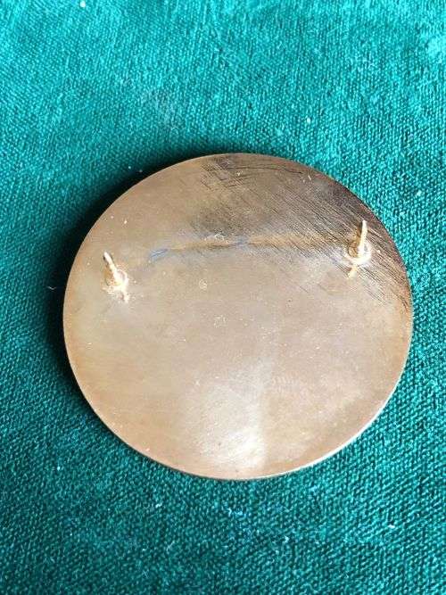 44 PARACHUTE BRIGADE DISPATCHER BADGE- 2 PINS