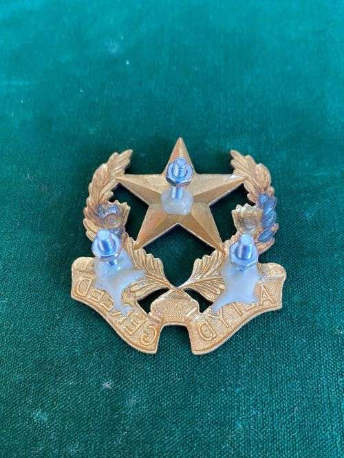 REGIMENT BOTHA METAL CAP BADGE-WORN FROM 1962-SCREW LUGS REPLACED