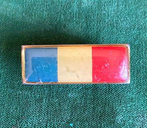 ORDNANCE SERVICES CORPS BERET BAR-APPROVED IN 1977-BLUE/ WHITE/ RED- 2 PINS